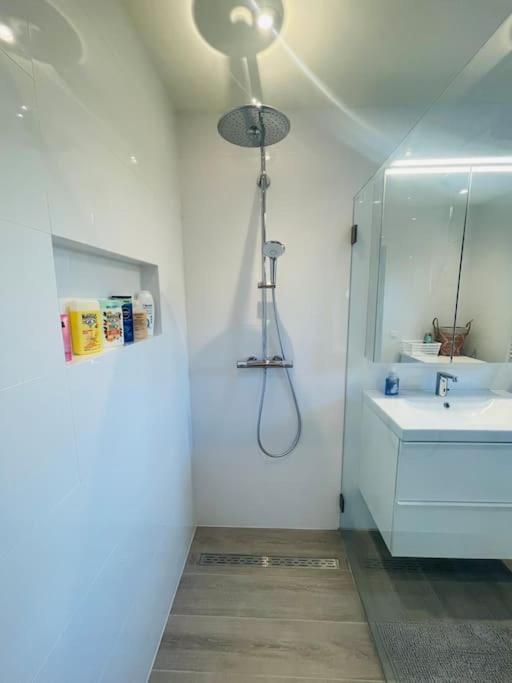 Prachtig Guesthouse Met Gratis Parkeren Maasmechelen Esterno foto