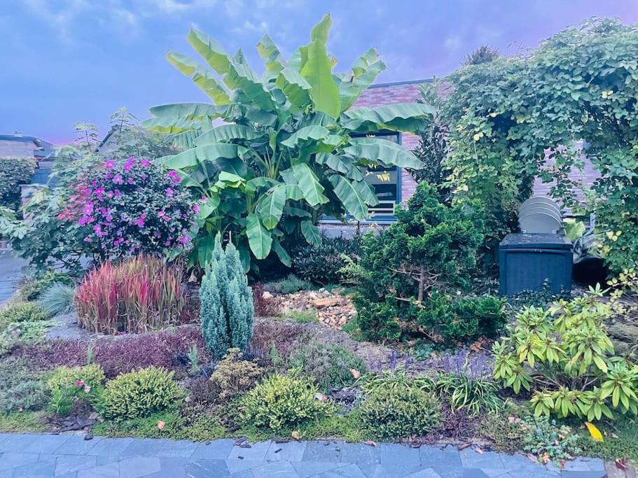 Prachtig Guesthouse Met Gratis Parkeren Maasmechelen Esterno foto